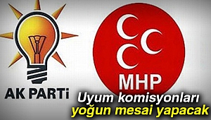 Uyum komisyonları yoğun mesai yapacak