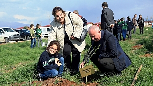 AFRİN’E DESTEK İÇİN ZEYTİN FİDANI