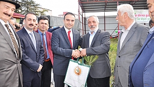 AFŞİN'DE 83 BİN ÇAM FİDANI DAĞITILDI 
