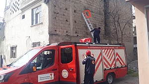  DUVARDAKİ TELE TAKILAN KIRLANGICI İTFAİYE KURTARDI 
