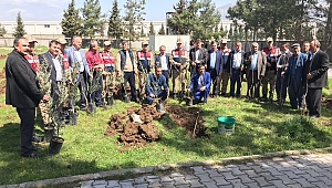 JANDARMA, NEVRUZ BAYRAMINI MUHTARLARLA BİRLİKTE AĞAÇ DİKİMİ YAPARAK KUTLADI.  
