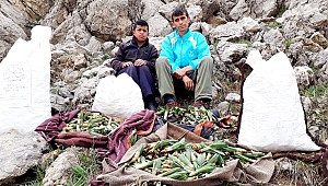KAHRAMANMARAŞ’IN ALTIN LEZZETİ ‘’ÇİRİŞ