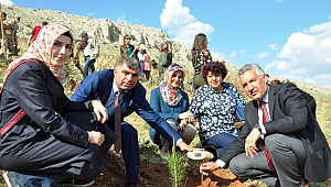 FİDANLARI, ŞEHİTLERİN KÜNYELERİ İLE BİRLİKTE TOPRAKLA BULUŞTURDULAR 