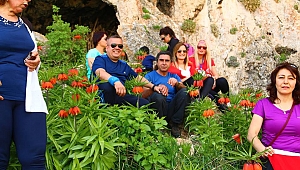 800 DAĞCI TERS LALELER İÇİN TIRMANDI