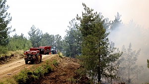 HATAY’DAKİ ORMAN YANGINI DEVAM EDİYOR 
