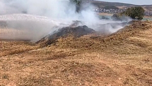 10 TON MERCİMEĞİ ATEŞE VERDİLER