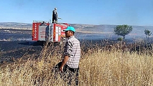 25 DÖNÜM BUĞDAY TARLASI KÜL OLDU 