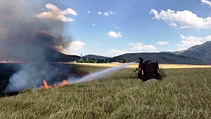 30 DEKARLIK ARPA TARLASI YANARAK KÜL OLDU 