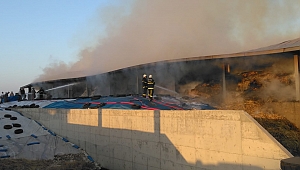 ÇİFTLİKTEKİ YEM DEPOSU ALEV ALEV YANDI 