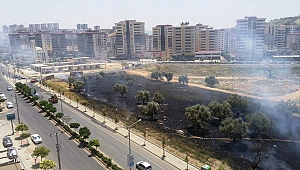 ÇOCUKLARIN KİBRİTLE OYUNU ZEYTİN AĞAÇLARINI YAKTI 