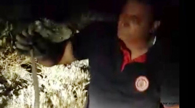 EVE GİREN YILAN DOĞAL YAŞAMINA BIRAKILDI