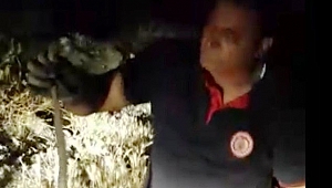 EVE GİREN YILAN DOĞAL YAŞAMINA BIRAKILDI 