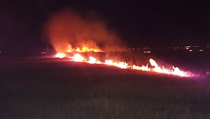 KAHRAMANMARAŞ’TA ANIZ YANGINI 