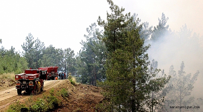 KAHRAMANMARAŞ’TA ORMAN YANGINI