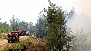 KAHRAMANMARAŞ’TA ORMAN YANGINI 