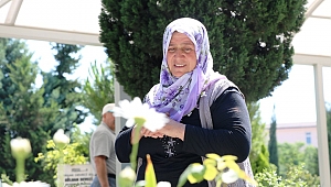 ŞEHİDİN ANNESİ OĞLUNUN MEZARINI ELİYLE TEMİZLEDİ 