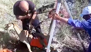 SU KUYUSUNA DÜŞEN KEÇİYİ İTFAİYE KURTARDI 