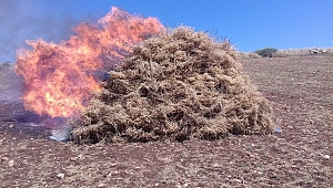 TONLARCA NOHUDU ATEŞE VERDİLER 
