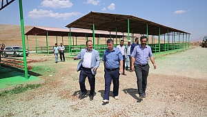 AFŞİN’İN YENİ HAYVAN PAZARI