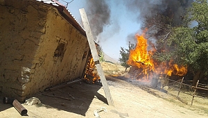 ALEVLERİN ARASINDA KALAN HAYVANLAR İÇİN SEFERBER OLDULAR 