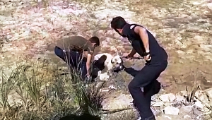 BATAKLIĞA SAPLANAN KÖPEĞİ İTFAİYE KURTARDI 