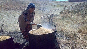 BULGUR KAYNATMA SEZONU BAŞLADI 