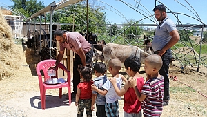 EŞEK SÜTÜ HEM ŞİFA HEM DE KAZANÇ SAĞLADI 