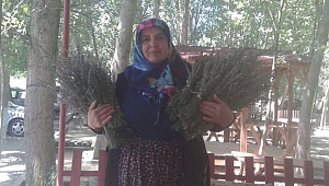 KAHRAMANMARAŞ’ TA KADIN ÇİFTÇİLER BİR İLKİ GERÇEKLEŞTİRDİ.