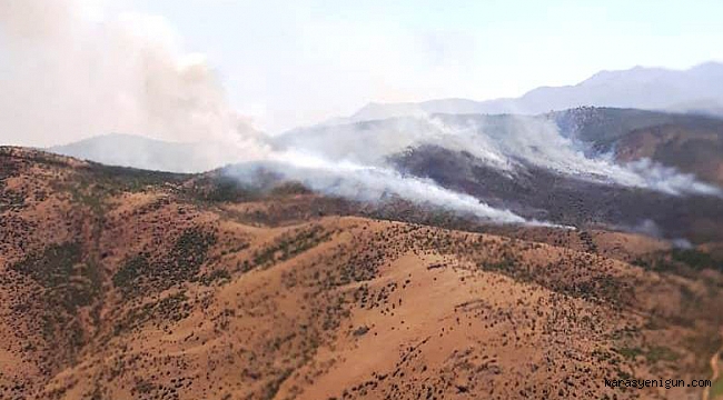 KAHRAMANMARAŞ’TA ORMAN YANGINI