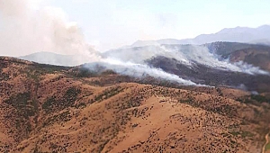 KAHRAMANMARAŞ’TA ORMAN YANGINI 