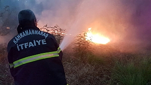 KAHRAMANMARAŞ’TA ORMAN YANGINI 