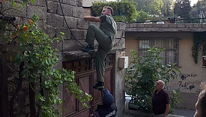 KAHRAMANMARAŞ'TA UYUŞTURUCU OPERASYONU: 15 GÖZALTI 