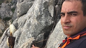 KAYALIKLARDA MAHSUR KALAN KEÇİLERİ İTFAİYE KURTARDI 