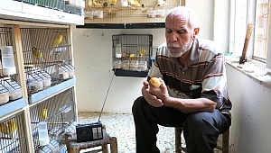 KUŞLARINA TÜRK SANAT MÜZİĞİ DİNLETİYOR 