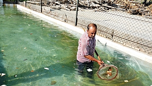 OKSİJENSİZ KALAN BALIKLARA YENİ YUVA 