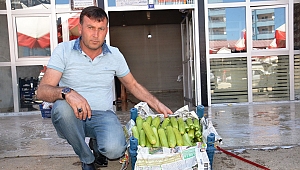 RUSYA’YA ELBİSTAN KABAĞI 