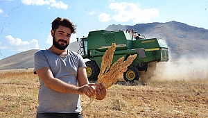 ASTRONOT GIDASI KİNOANIN İLK HASADI YAPILDI 