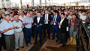 BAŞKAN ERKOÇ: “HAYVANCILIK OSB’Sİ KURUYORUZ”