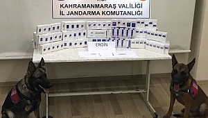 JANDARMADAN HUZUR OPERASYONU: 12 ŞAHIS YAKALANDI 