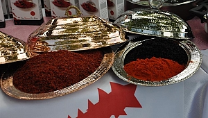 KAHRAMANMARAŞ COĞRAFİ İŞARETLERİ