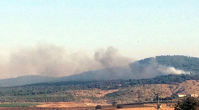 KAHRAMANMARAŞ’TA ORMAN YANGINI