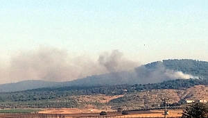 KAHRAMANMARAŞ’TA ORMAN YANGINI 