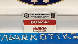 KAHRAMANMARAŞ’TA UYUŞTURUCU OPERASYONU: 1 GÖZALTI 