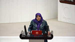 KURBAN BAYRAMI KARDEŞLERİMİZE VE KARDEŞLİĞİMİZE YAKINLAŞMADIR.