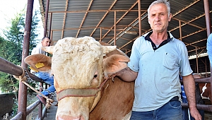 KURBANLIKLAR EL YAKIYOR