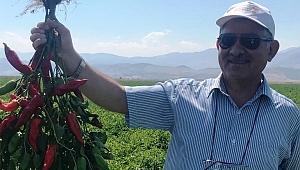 MARAŞ KIRMIZI BİBERİ BASINA TANITILDI