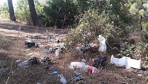 ORMANLIK ALANLAR ÇÖPLÜĞE DÖNDÜ 