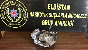 CİPS PAKETİNDE BONZAİ ELE GEÇİRİLDİ