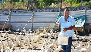 HOBİ OLARAK BAŞLAMIŞLARDI, ŞİMDİ TALEPLERE YETİŞEMİYORLAR 