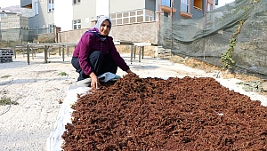 KAHRAMANMARAŞ’TA KADIN GİRİŞİMCİLER İÇİN PROGRAM 